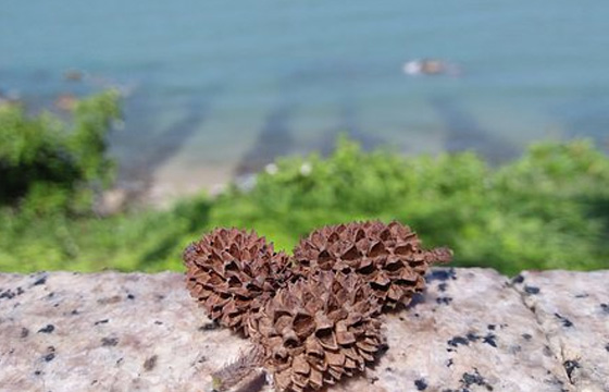 &#27867;&#20122;&#30005;&#31454;&#40;&#20013;&#22269;&#41;&#23448;&#26041;&#32593;&#31449;